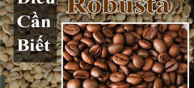 Cafe Robusta Và Những Điều Quan Trọng Cần Biết